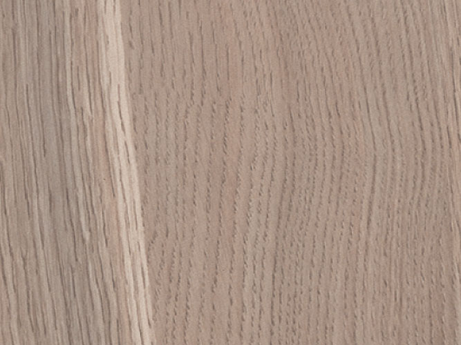 Neo Oak